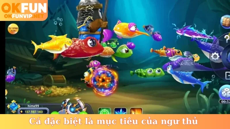 Cá đặc biệt là mục tiêu của ngư thủ