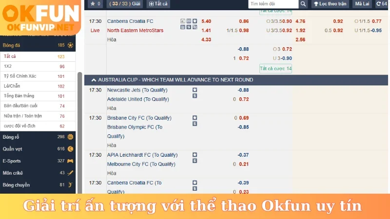 Giải trí ấn tượng với thể thao Okfun uy tín