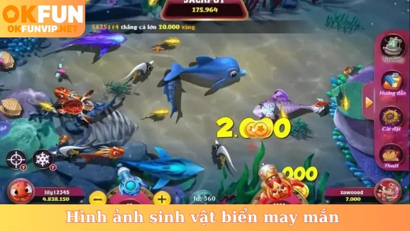 Hình ảnh sinh vật biển may mắn