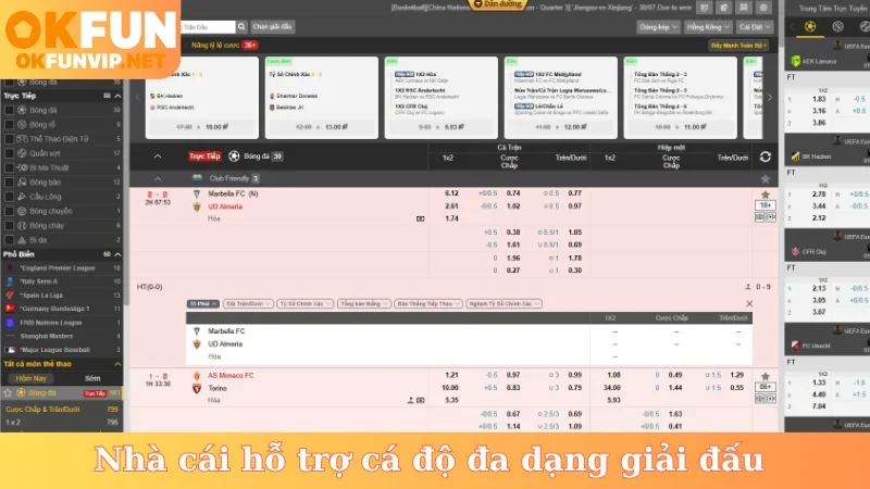Nhà cái hỗ trợ cá độ đa dạng giải đấu
