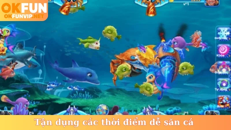 Tận dụng các thời điểm dễ săn cá